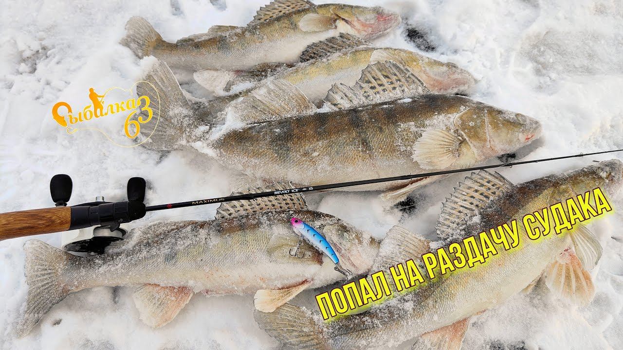 ТАКАЯ РЫБАЛКА БЫВАЕТ ТОЛЬКО ВО СНЕ. ЭТОТ VIB ПРИВОДИТ СУДАКА В БЕШЕНСТВО смотреть онлайн