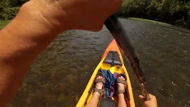 Raptor River Runs смотреть онлайн