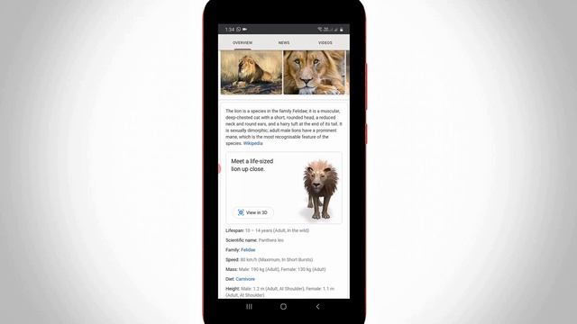 How to Get 3D Animals in Google-Google New Update AR Feature(View In Your Space) смотреть онлайн