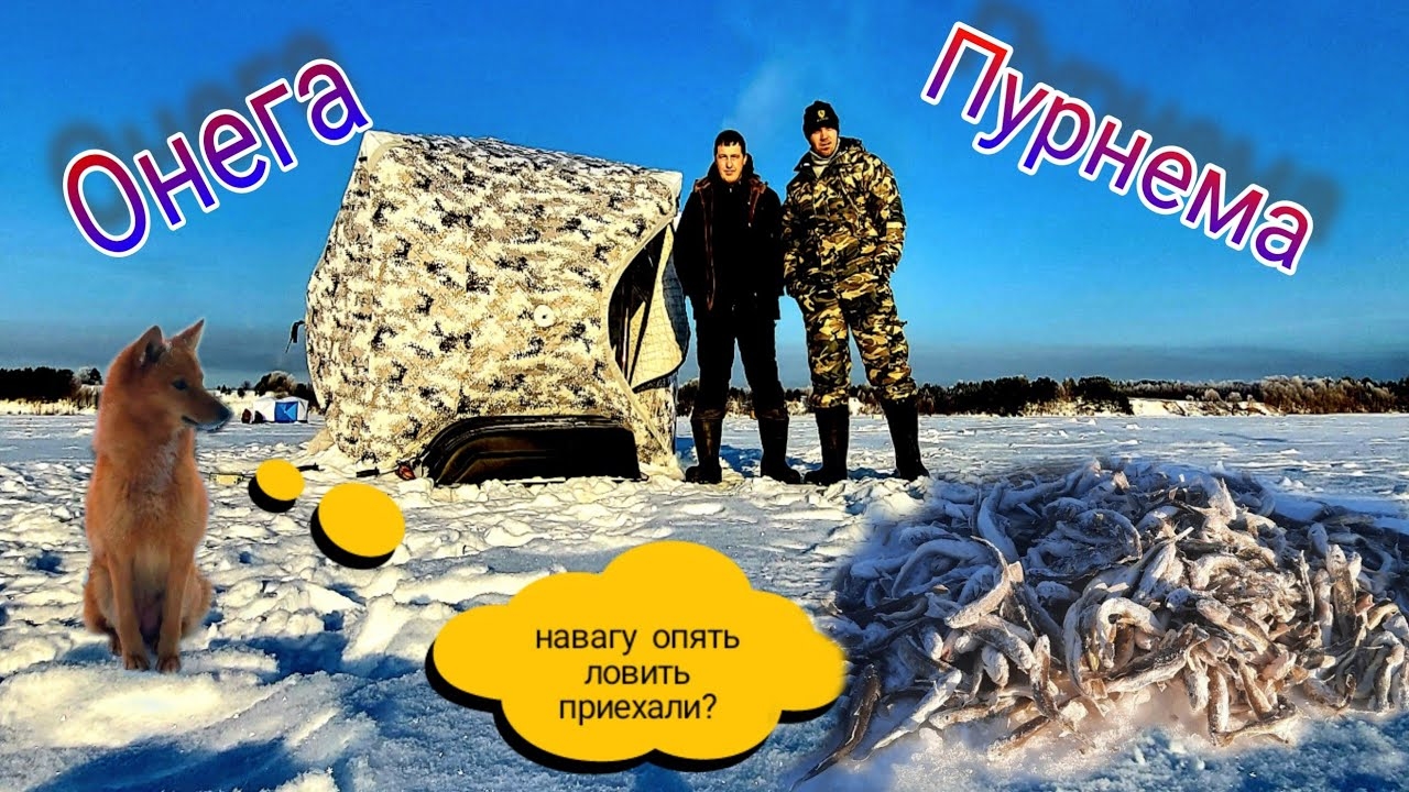 Онега. Пурнема. Рыбалка. Навага. смотреть онлайн