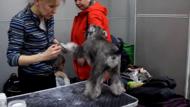 Евразия 2021 Москва.