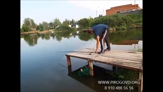 Платная рыбалка в Пирогово-Коргашино смотреть онлайн