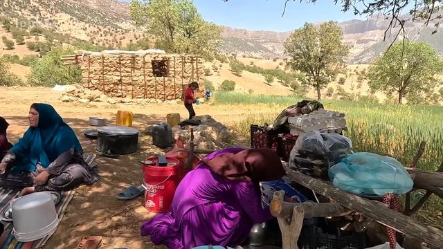 Making a Big pot tomato plov for Grandchildren (Iran 2023) смотреть онлайн