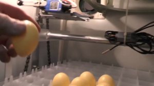 Инкубатор MJA инструкция