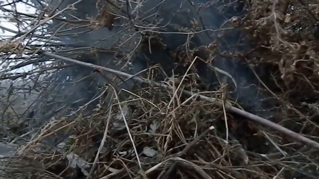 Купила сумку,уги,жгу сорняки.. смотреть онлайн