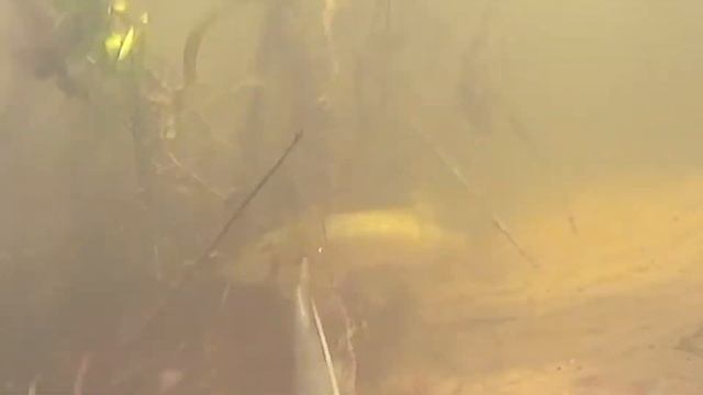 щука 2 смотреть онлайн