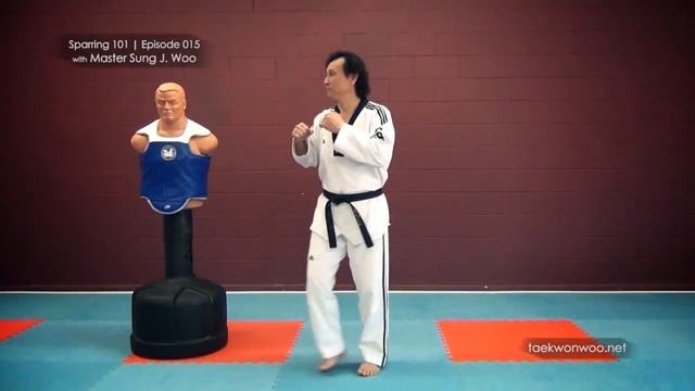 How to Score in Olympic Style Taekwondo Sparring | Tactics | TaekwonWoo смотреть онлайн