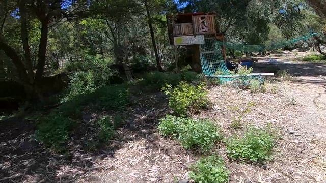 Hidden Hippie Commune Free From Law
