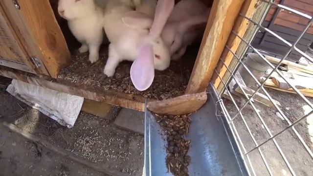 Крутой Подарок ОТ Подписчиков Дяде Юре / Покупка и Доставка / Весёлый Выпуск | Перезалив смотреть онлайн