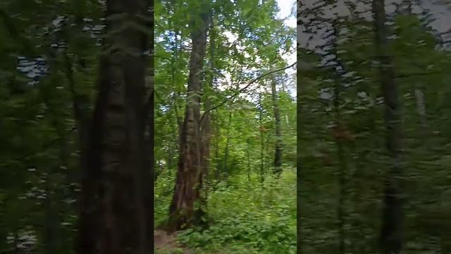 10 августа 2023 г. смотреть онлайн