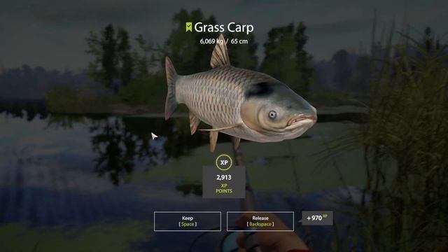 Russian Fishing 4 - Old Burg Lake - Gameplay Carp Fishing - #121 смотреть онлайн