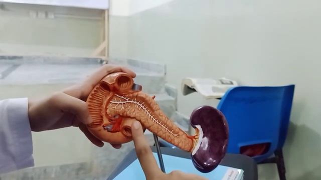 GIT module models part #1 смотреть онлайн