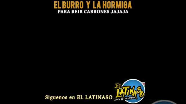 EL burro y la Hormiga смотреть онлайн