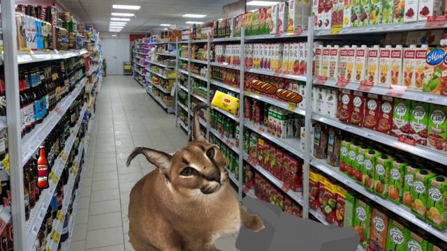 Шлёпа грабанул магнит смотреть онлайн