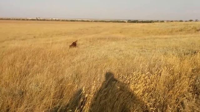 На охоте 1 часть смотреть онлайн