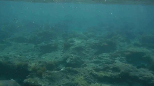 Черепаха часть 2 смотреть онлайн