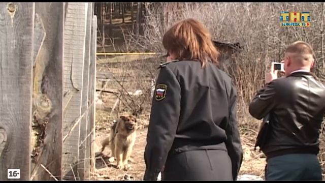 Рейд по транспортному налогу смотреть онлайн