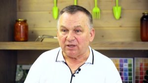 Не бойтесь химических препаратов! Актара: инструкция по применению от нашего эксперта