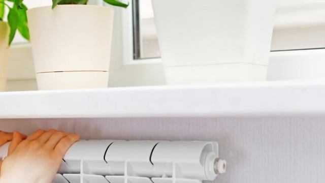 Как защитить РАСТЕНИЯ НА ПОДОКОННИКЕ зимой от морозного воздуха при проветривании смотреть онлайн