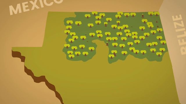 Community Forest Concessions: A Guatemalan Success Story смотреть онлайн