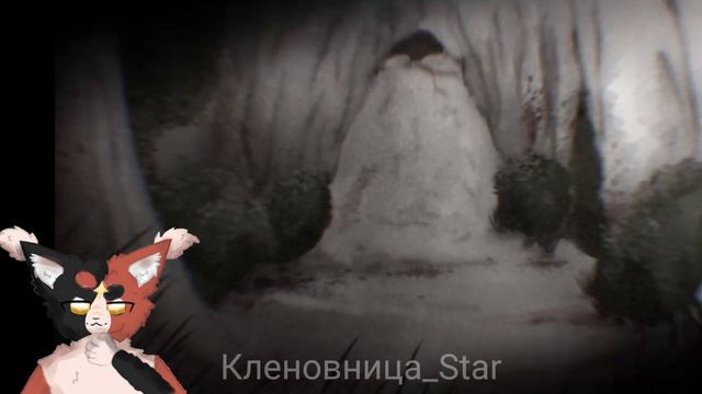 #34 Утерянные файлы/ Троица/ Коты воители смотреть онлайн