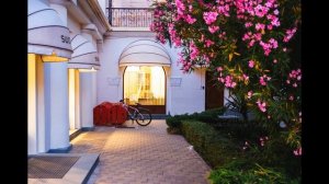 Музыка Моцарта для поднятия настроения и вдохновения!