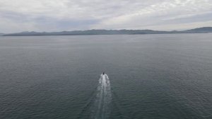 БОМБИЧЕСКИЙ КЛЁВ НА ТРОЛЛИНГЕ СИМЫ. ТРОЛЛИНГ НА СИМУ 2021.ТАКОГО Я НЕ ОЖИДАЛ.