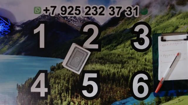 #Сека #Свара #Тринка Уйин Бошланди Хаммага Омад!!!!!