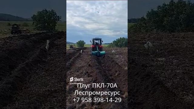 Борозды под голубику плугом ПКЛ-70А Леспромресурс смотреть онлайн