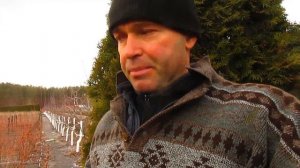 Простая обрезка голубики (дополнение)