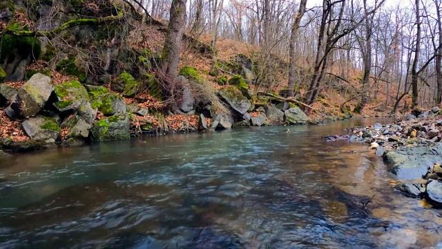 Звуки природы, шум реки, пение птиц, Звуки Леса, для релаксации, сна, Медитации.Сон за 15 минут смотреть онлайн