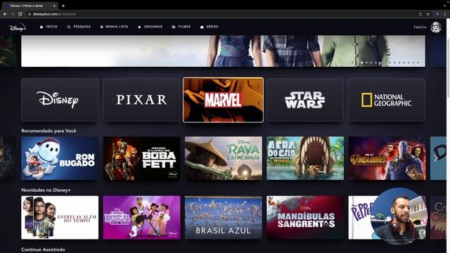 Disney+ Clone (HTML, CSS e Javascript) - Parte 01: Introdução смотреть онлайн