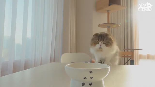 lULU IS STILL A BABY BY MIXER OF UNIQUENESS смотреть онлайн