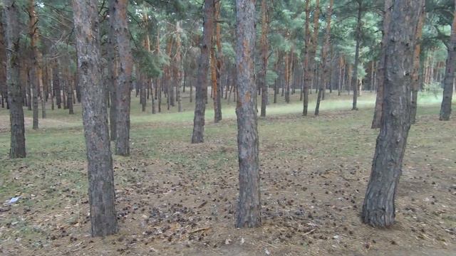 В Матвеевку через Баловное. Красоты не далеко от города. Велоблог | На педалях. смотреть онлайн