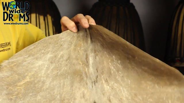 Selecting a Djembe Goat Skin смотреть онлайн