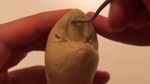 ПРЕМОЛЯРЫ | ПРАКТИКА | МОДЕЛИРОВАНИЕ ЗУБОВ | ЧАСТЬ 7