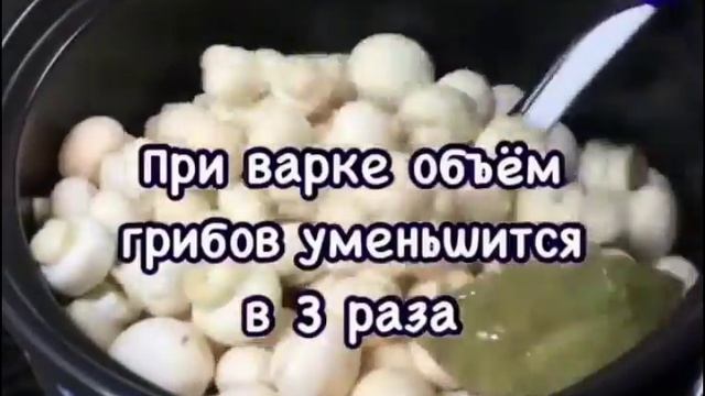 Шампиньоны. Новинка 2018 смотреть онлайн