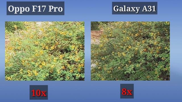Oppo F17 Pro VS Samsung Galaxy A31 With Camera Comparison.??? смотреть онлайн