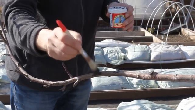 Стройка Мастеров