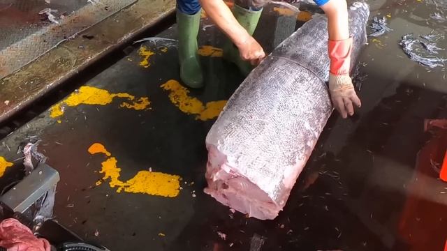 Amazing Giant marlin fish cutting - Fish cutting skills смотреть онлайн