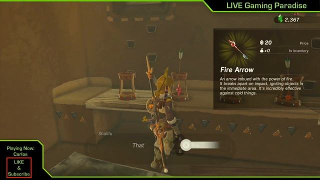 Breath of the Wild - How to get inside Gerudo Town (Forbidden City) смотреть онлайн