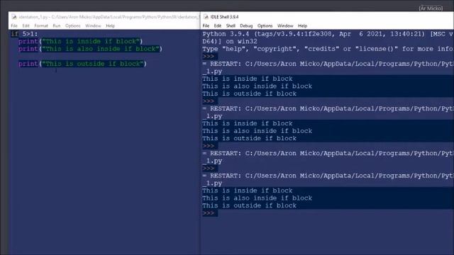 Code Blocks and Indentation/Python Tutorial for People in a Hurry/ Beginners Guide смотреть онлайн