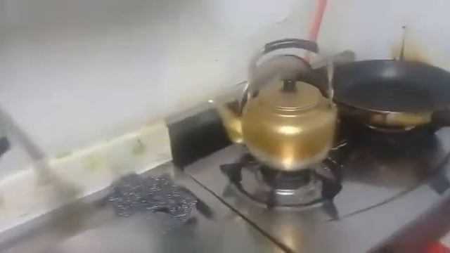 Работа по сбору морской капусты в Южной Корее (условия проживания) смотреть онлайн