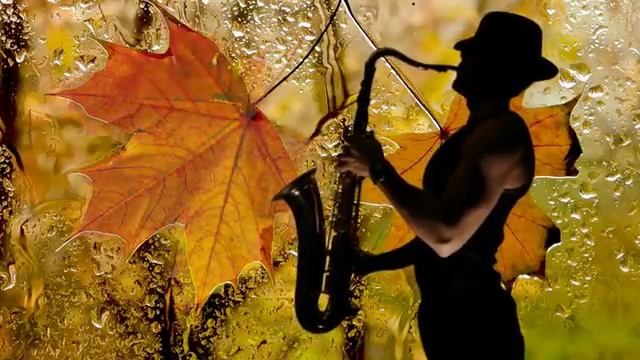 Осенний проект + переходы скачать бесплатно смотреть онлайн