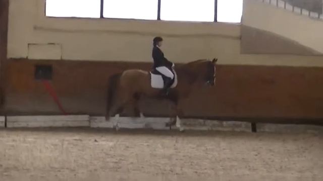 Настя и Степа смотреть онлайн
