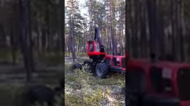 Komatsu 931 валка леса,лесные машины смотреть онлайн