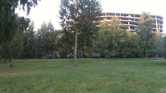 Шок! Пьяные инопланетяне летают на НЛО по парку в Тюмени! смотреть онлайн