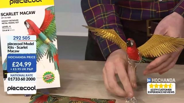 Hochanda x piececool in April Fools’ day 2021 смотреть онлайн