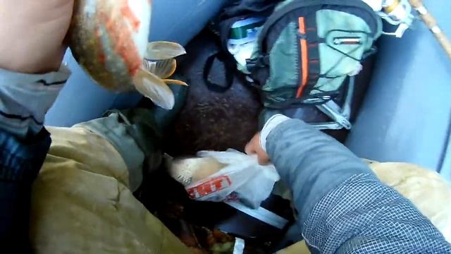 Как поймать большого леща..... на спиннинг? Рыбалка на Вятке смотреть онлайн