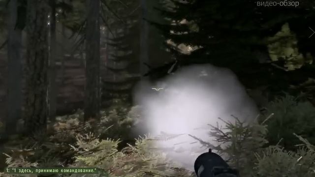 Обзор игры ArmA 2 смотреть онлайн